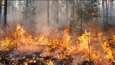 What causes a wildfire? | Natural Disasters