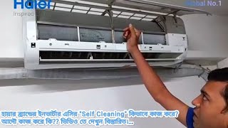 Haier brand Inverter AC "Self Cleaning" process. How to clean AC evaporator through "Self Cleaning".