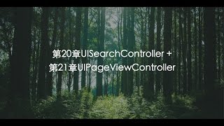 UISearchController + UIPageViewController