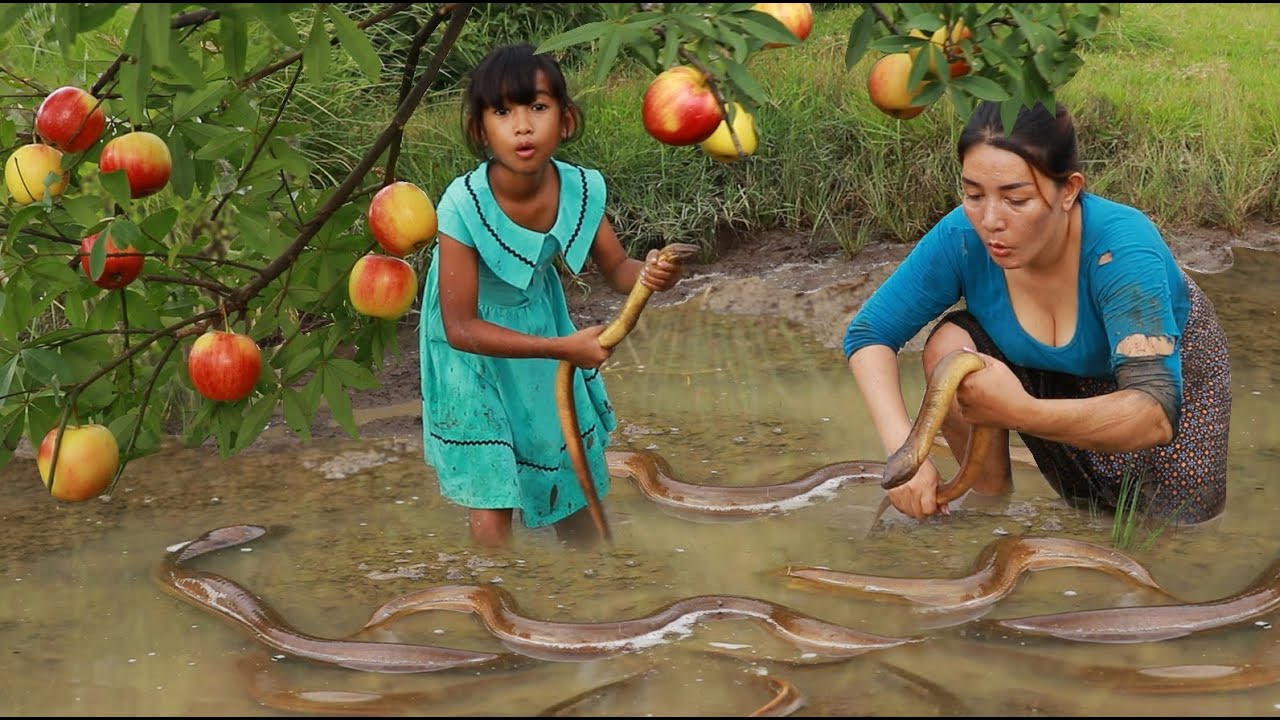 Catch big ell in rainforest for food-Cooking ell with flower banana so ...