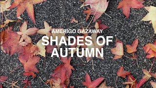 Amerigo Gazaway - SEASONS: Shades of Autumn (Album Teaser)