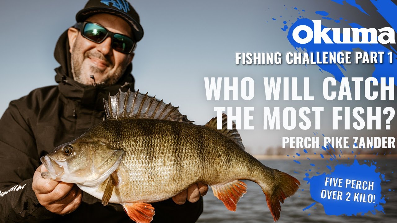 Epic fishing challenge - 5 PERCH over 2 kilo!