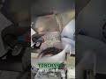 TCH-BEAN15G Coffee Bean Packing Machine(Small Pre-made Bag) | Tonchant