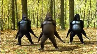 Monkey dance