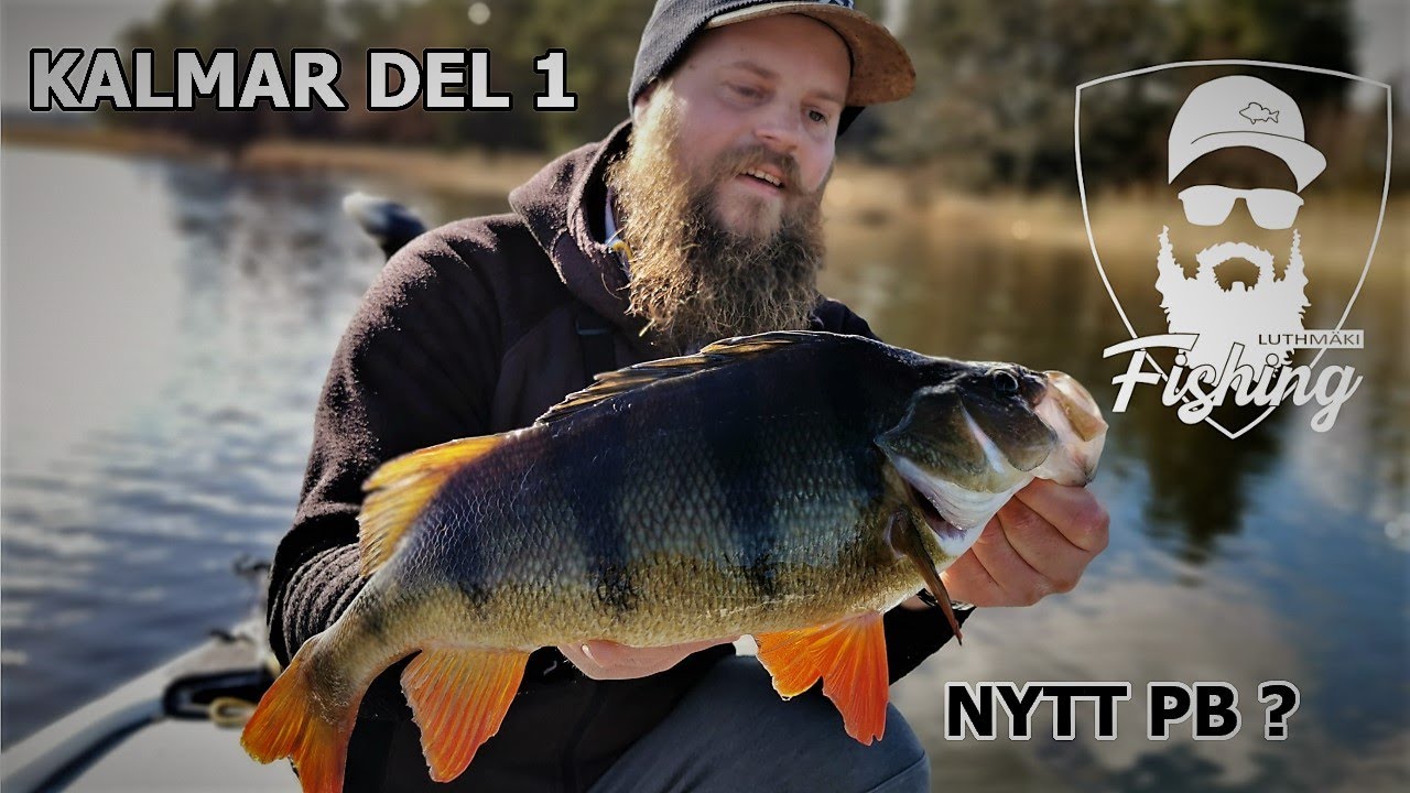 VÅRFISKE EFTER ABBORRE I KALMARSUND, FISKAR MED FÖLJARE OCH ÅKER TRITON BASSBOAT