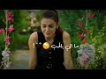 آدم انا ما الي بالحب احلى مقاطع حب قصيرة اغاني حب 2022 حالات واتس اب فريد وهاندا