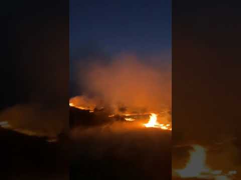 Video: De ce sunt incendii în pădure