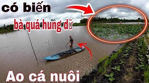 Lần đầu đi đặt lờ cá trên đồng nước nổi,,gặp cảnh này