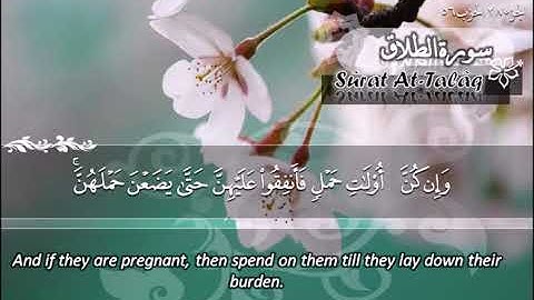 065  سورة الطلاق ماهر المعيقلي  Sûrat At Talâq Maher Al Muaiqly