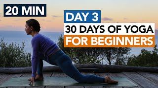 20 Min Morning Beginner Yoga Day 3 30 Days Of Yoga For Beginners