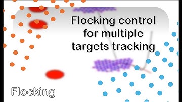 flocking control for multiple targets tracking