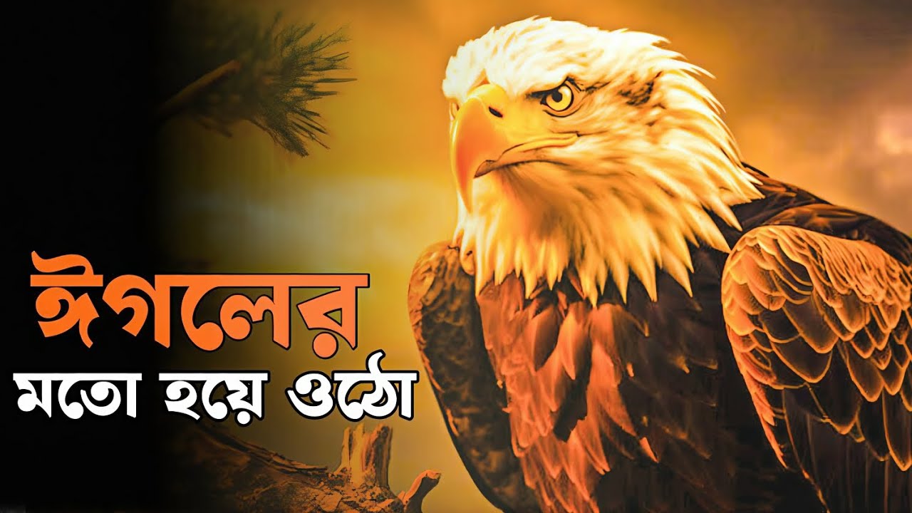 ঈগলের মত একা উঠতে শেখো | Rise like an eagle in life | Motivational video