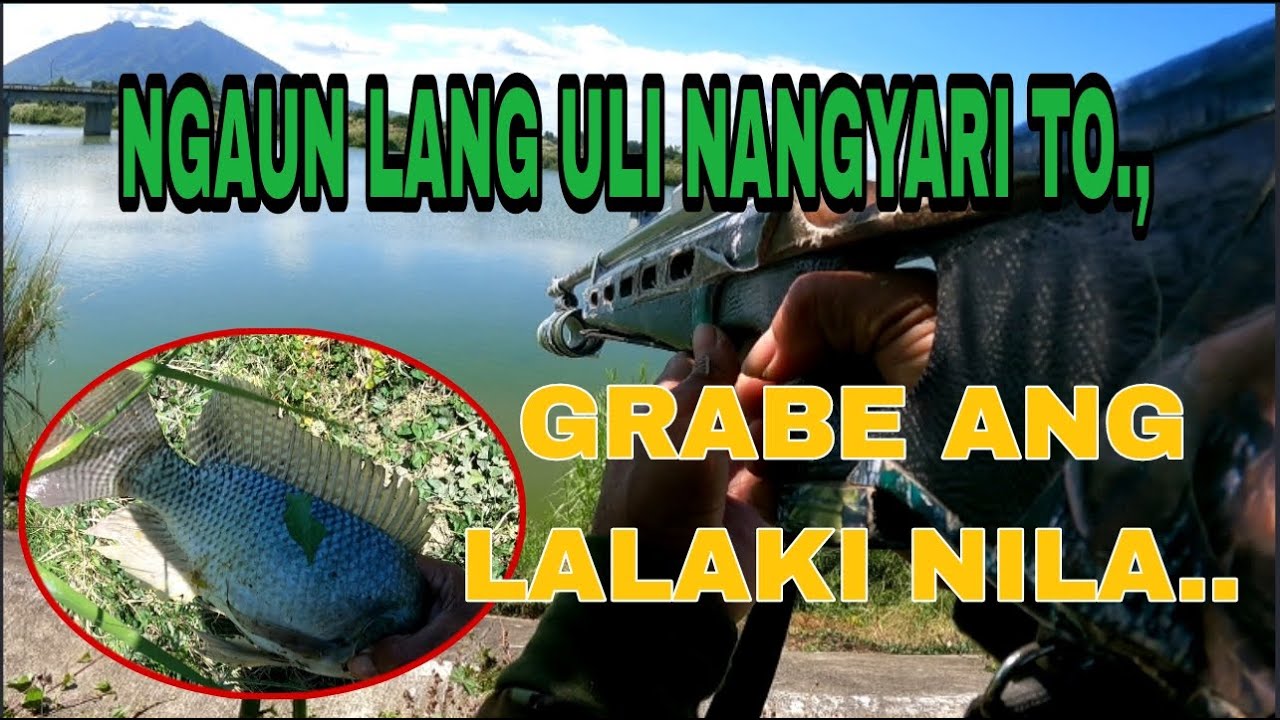 PAMBIHIRA TO NAGLABASAN ANG MGA PLAPLANG TILAPIA SA SPOT KO /Airgun Fishing /Fishgunerong Madiskarte
