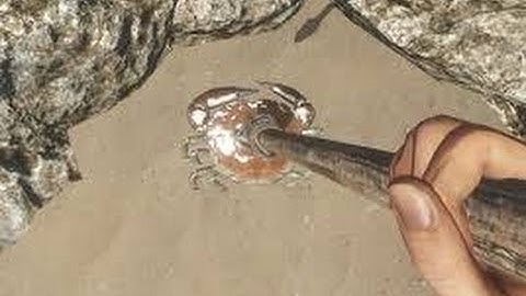 Stranded Deep Ep 1| Lag, Technical difficulties, and a whole lot of freakin damn CRABS!!