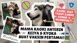 KAORI ANTERIN KEIYA DAN KYOKA BUAT VAKSIN PERTAMA‼️ (SI KAORI IKUT TAKUT SAMPE KABUR   NGOMPOL...😂)