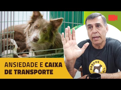 Ansiedade e Caixa de Transporte.