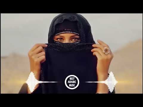             تامر حسني والشامي