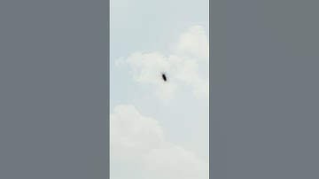 سورة النبأ بصوت الشيخ عبد الباسط عبد الصمد