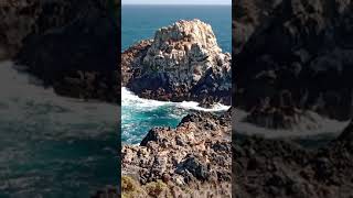 Reserva El Puquén, Los Molles