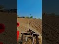 #dilkidhadkan #farming #likeforlikes #1000subscriber #1millionviews #1million