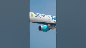 Tiếp viên Việt Nam bị bắt giữ tại Hàn Quốc nghi buôn lậu cần sa, các hãng lên tiếng