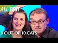 What would jesus do  8 out of 10 cats  all brit