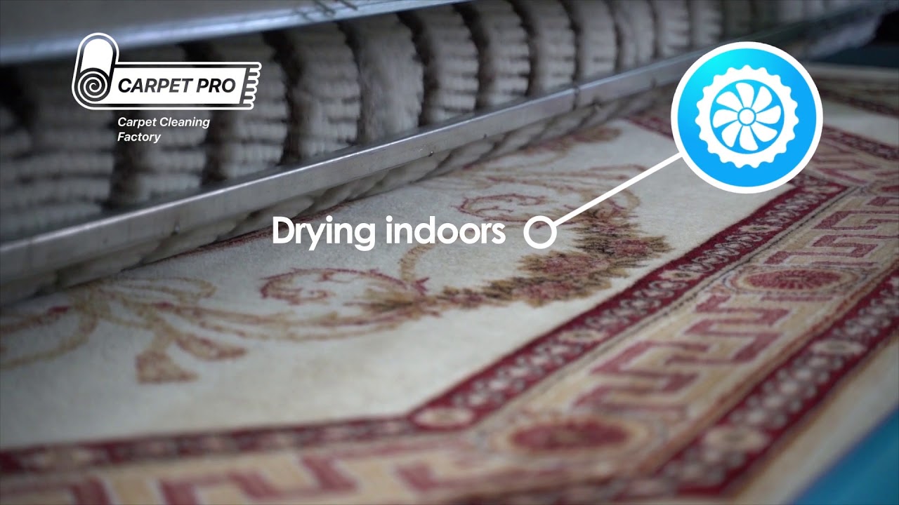 PROFESSIONAL CARPET CLEANING in UAE YouTube