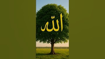 قوة قرآن كريم ❤ #الله #quran #المصحف #الرحمن #راحة_نفسية #قرآن