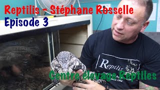 Reptilis - Ep 3 - Stéphane Rosselle et centre élevage reptile
