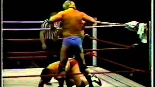 The High Flyers vs Bockwinkel and Saito