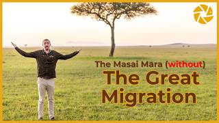Should you visit The Masai Mara without The Migration?