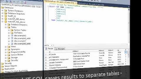 Cleanse, Standardize and Validate SQL Data in SSIS