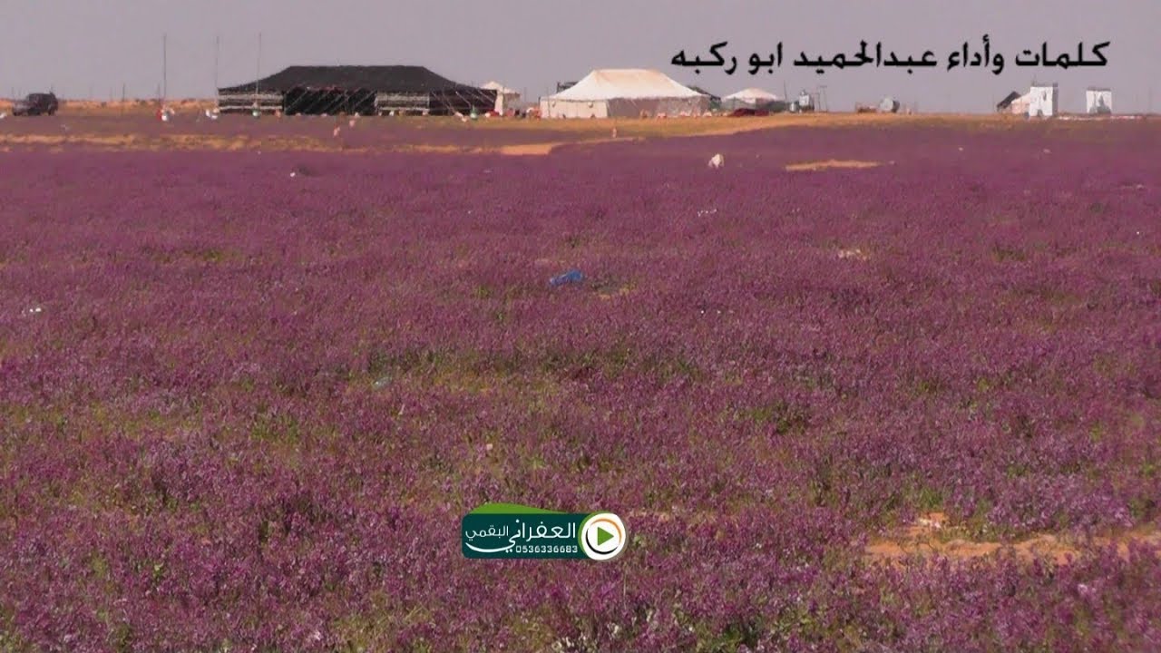 شيلة البر نعشق هواه ولا نبي غيره كلمات واداء عبدالحميد ابو ركبه الشيله حصريه على قناة العفراني