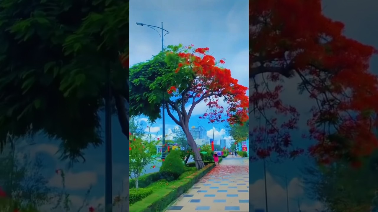 Very special flowers tree