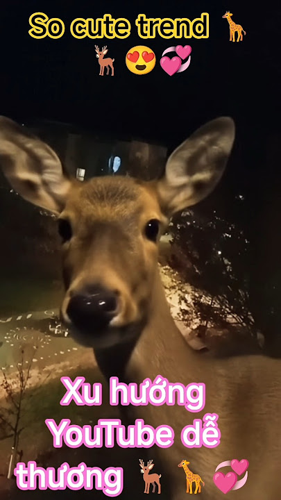 xu hướng YouTube/Cute trend #xuhuongyoutube #trendingshorts #viral #shots @KieuHuongDuong-fs2hw