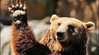 КАРТА ДНЯ НА 9 ИЮНЯ 2026 ГОДА