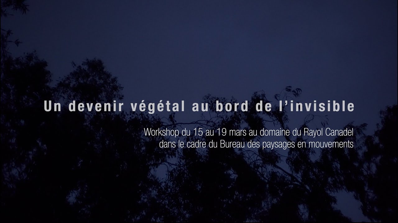 Un devenir végétal au bord de l'invisible