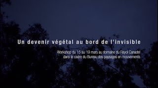 Un devenir végétal au bord de l&rsquo;invisible (version courte)