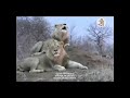 زربو النو 57 زربو النو 57
