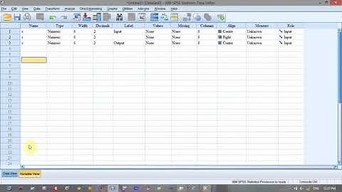 SPSS  22 Tutorial:; Enter Data and Define Variables in SPSS