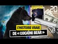 Lhistoire vraie de  cocane bear 