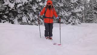 The Teton Shuffle - Lynsey Dyer's G3 University Ski Tips