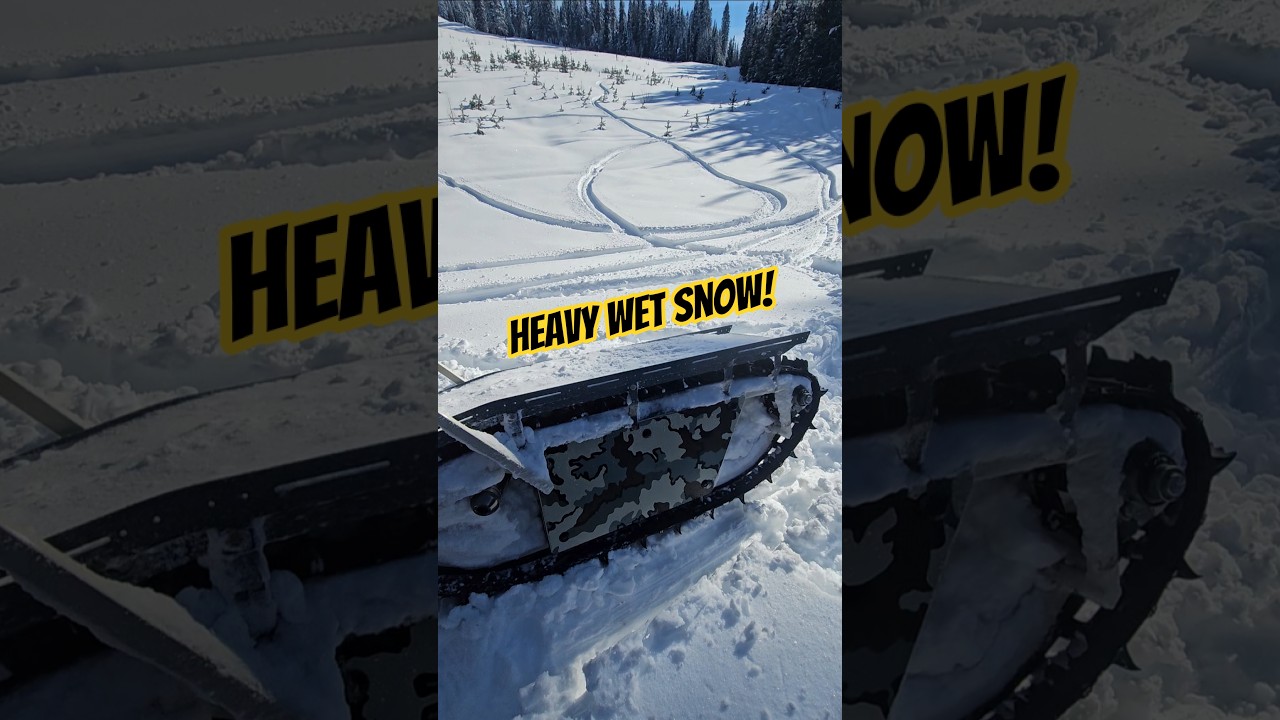 Снежный вихрь на мокром снегу. 