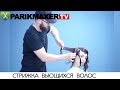 СТРИЖКА ВЬЮЩИХСЯ ВОЛОС. ВАДИМ ПОРЕВ. parikmaxer tv ARTISTIQUE