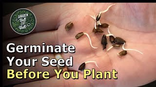 Is Your Seed Too OLD? Test It First With Paper Towels And Germinate It BEFORE You Plant!