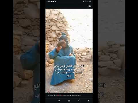 معمرك تحݣر شي واحد من اللبس ديالو يقدر يكون حسن منك المغاربة المغرب شوف تيفي ترند اكسبلور
