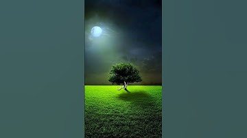 سورة المسد بصوت الشيخ عبد الباسط عبد الصمد