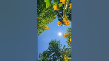 الصفحه السادسه الجزء3(كل يوم صفحه من القرآن#القرآن#تلاوة#متابعة #beautiful#الجزائر #ماهر_المعيقلي