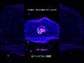 【３秒で脳をリセットする音】　黄金比周波数♪ #周波数音楽 #brainwavesound #θ波