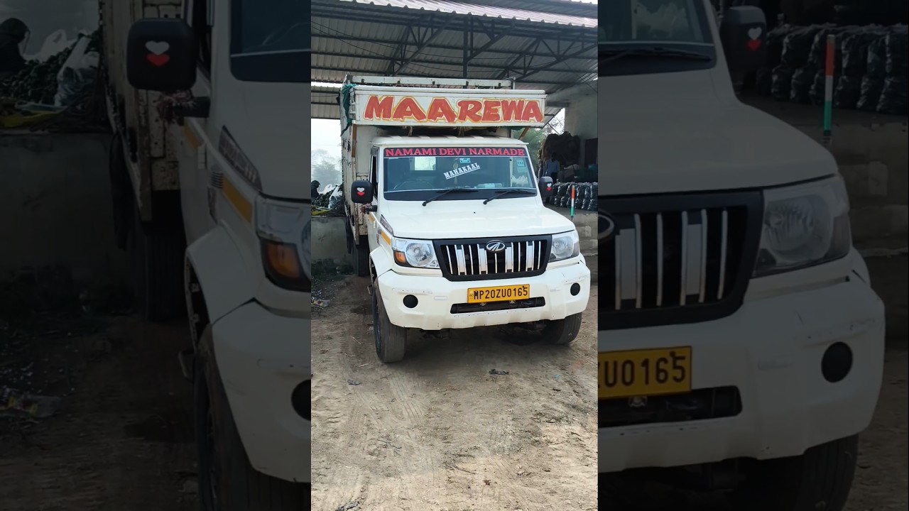 450 🚀 Mandi mini vlogs day 83 